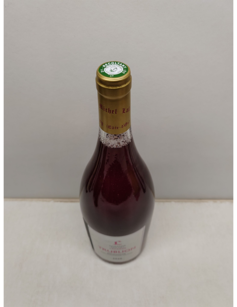 Michel Lafarge Trublion Bourgogne Rose 2020