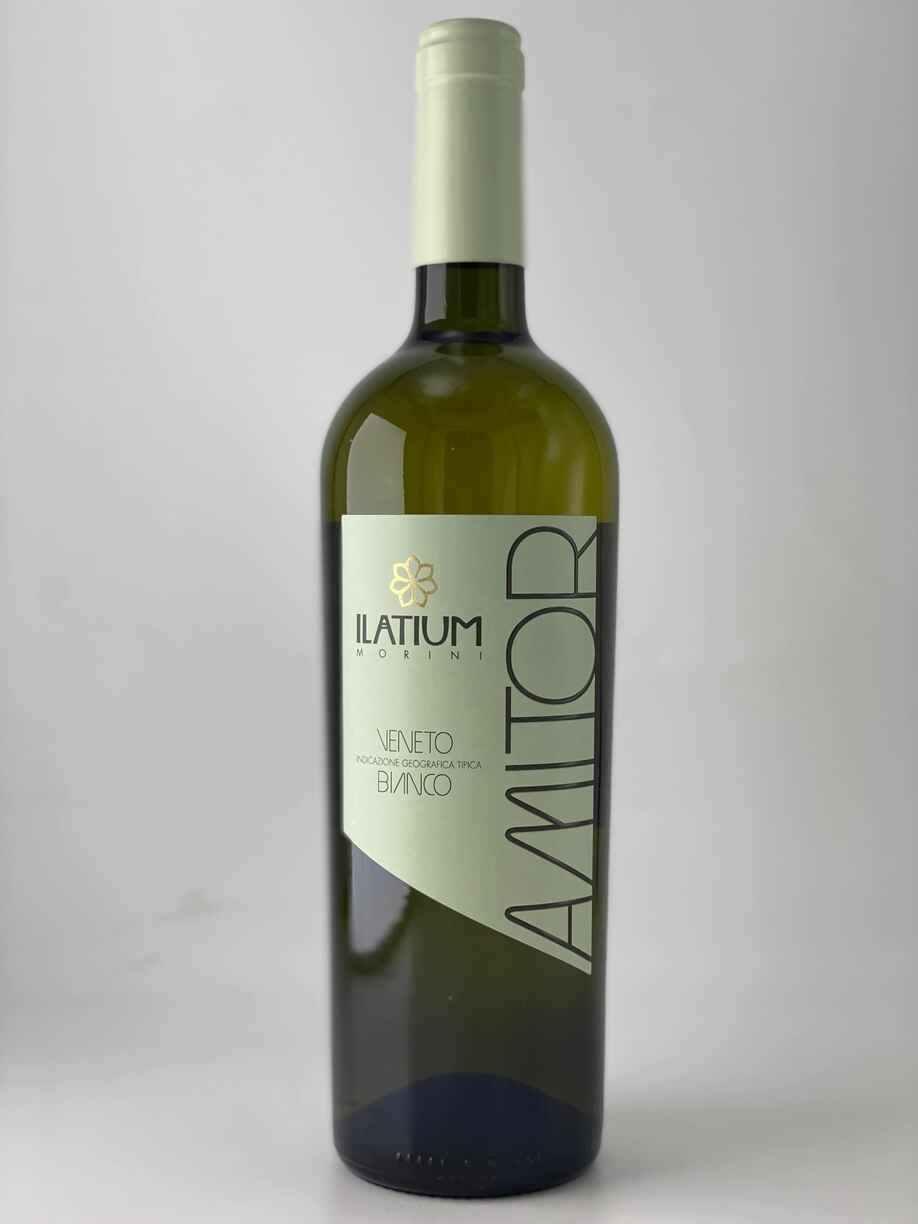 Latium Amitor Bianco Delle Venezie IGT 2021