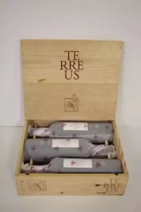 Mauro Terreus 2010