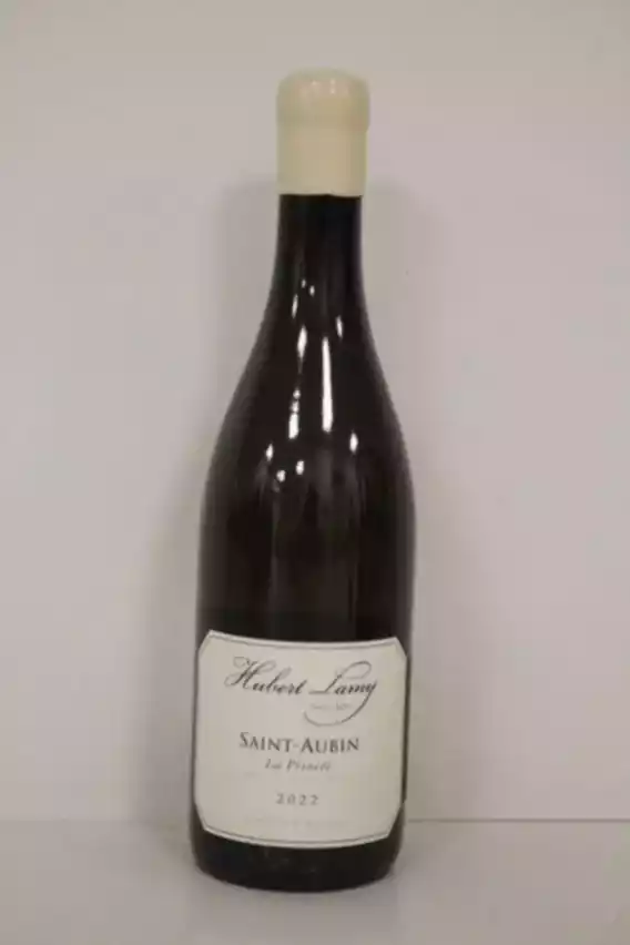 Hubert Lamy Saint-aubin La Princee 2022