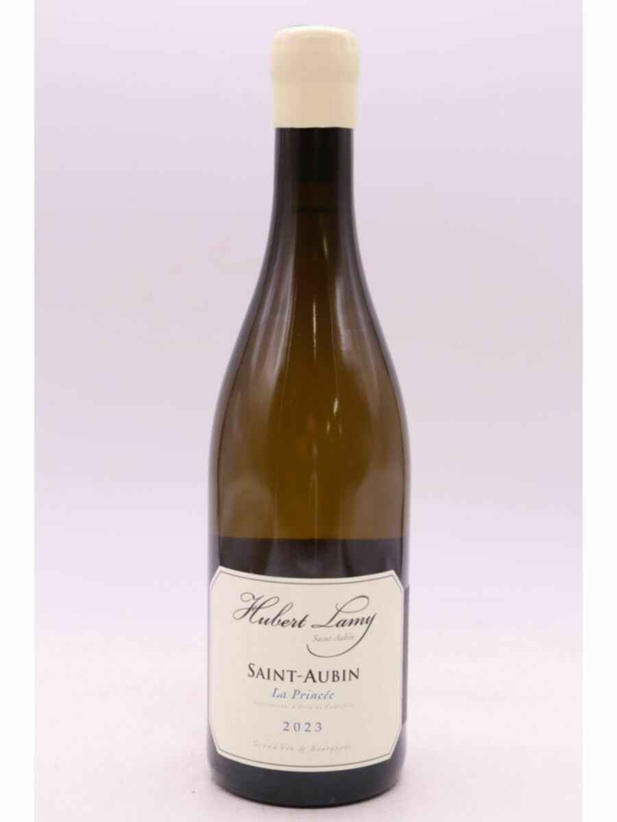 Hubert Lamy Saint-aubin La Princee 2023