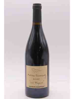 Antoine Sanzay , Saumur Champigny Les Poyeux , 2020