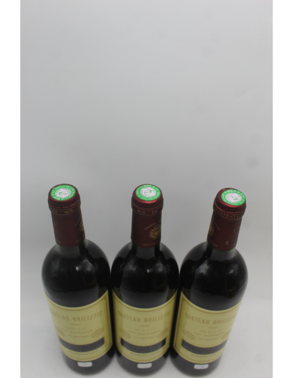 Chateau Brillette 1995