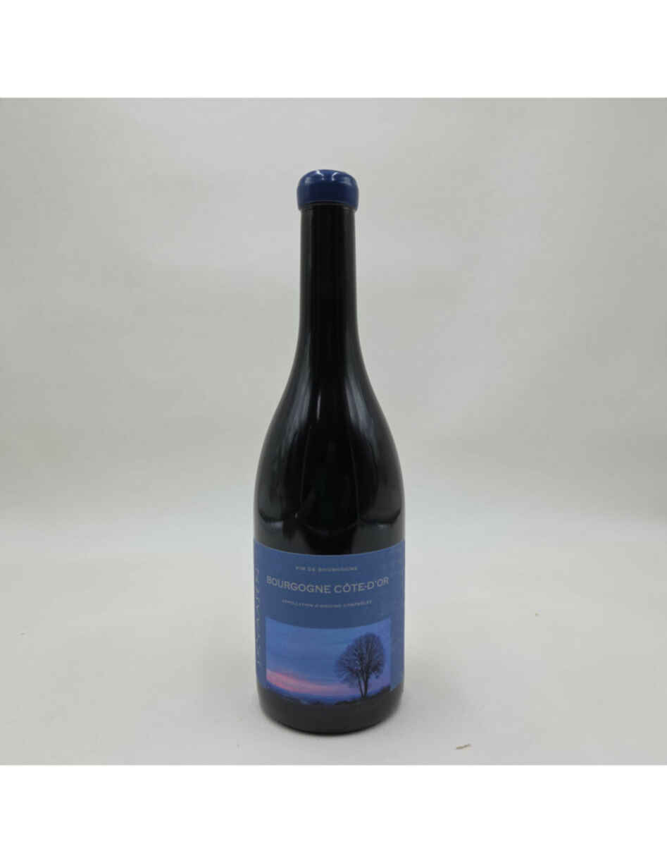 Skyaasen Bourgogne Cote D'or Rouge 2023