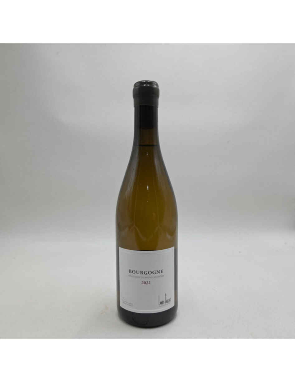Lamy Caillat Bourgogne Blanc 2022