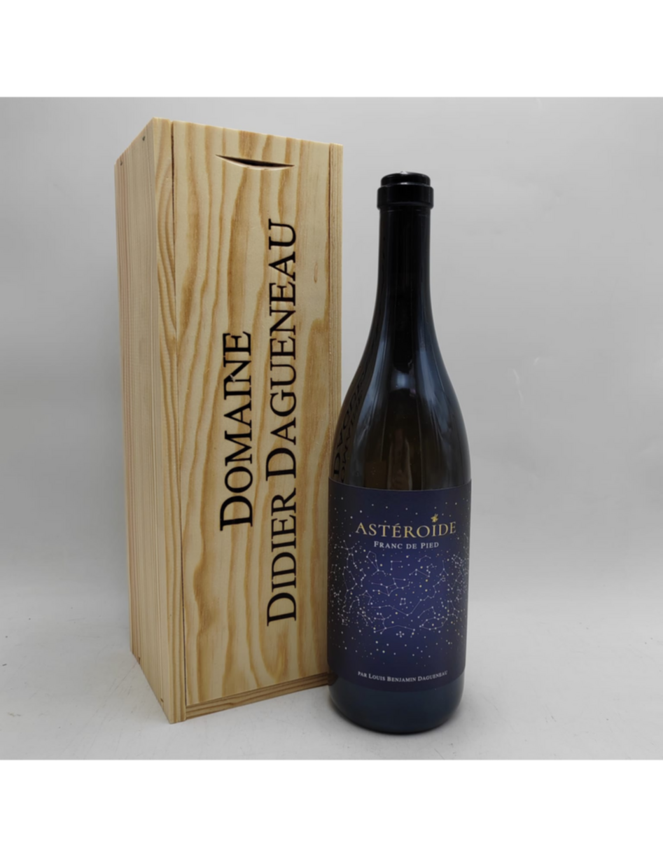 Didier Dagueneau Asteroide 2020