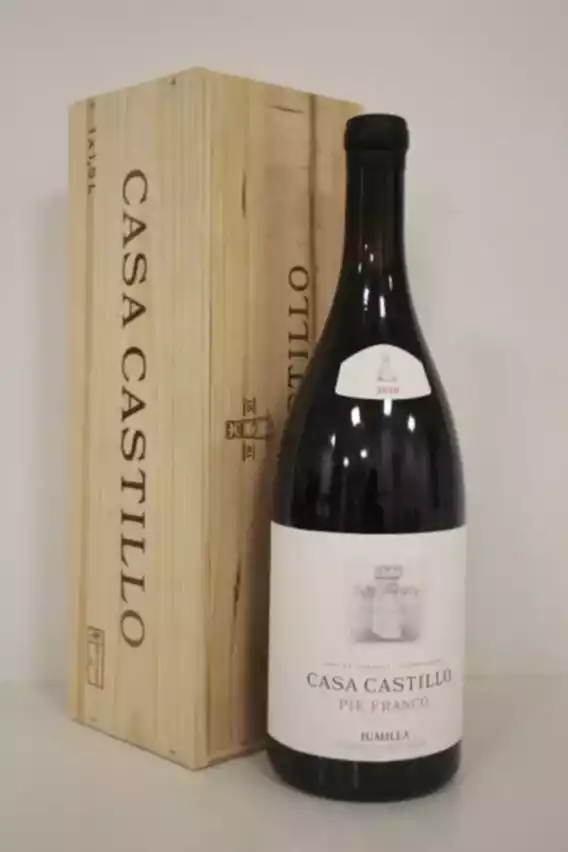 Casa Castillo Pie Franco 2020