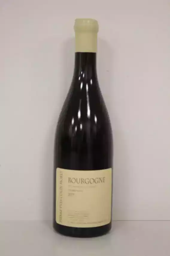 Pierre Yves Colin Morey Bourgogne Chardonnay 2019