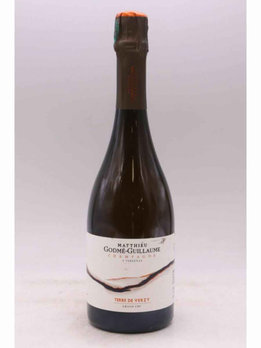 Matthieu Godme Guillaume Terre De Verzy N.V.